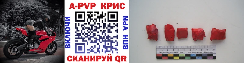 Купить  Тбилисская  Alfa_PVP СК 