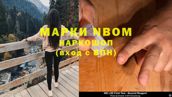 тгк Богданович