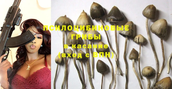 тгк Богданович
