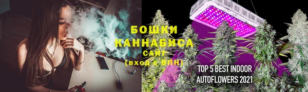 тгк Богданович