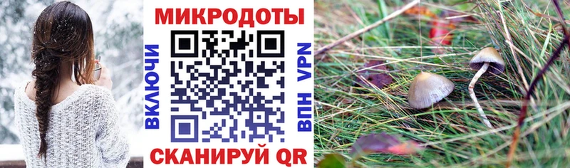 Купить  Тбилисская  Псилоцибиновые грибы прущие грибы 